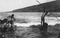 Hawaii: Fishermen, C1905. /Nnative Hawaiian Fishermen Fishing with a Spear and a Net. Photograph by Alonzo Gartley, C1905. Poster Print by (18 X 24)