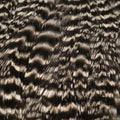 Hen Cape
