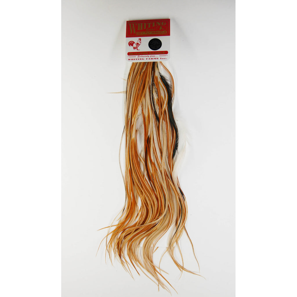 Whiting Silver Quarter Saddle