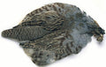 English Partridge Complete Skin