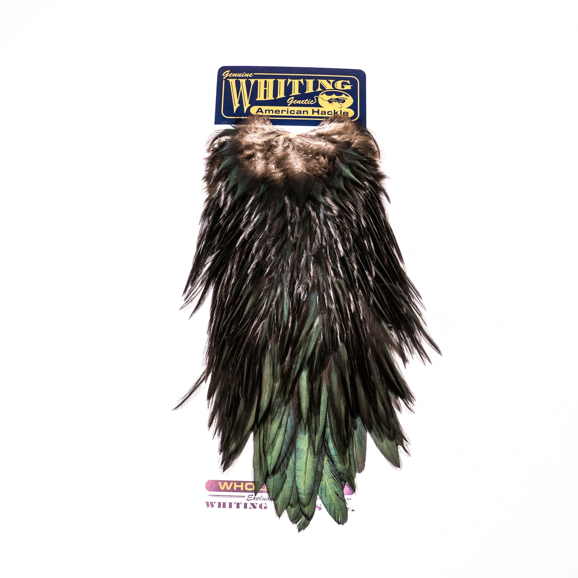 Whiting American Rooster Saddle