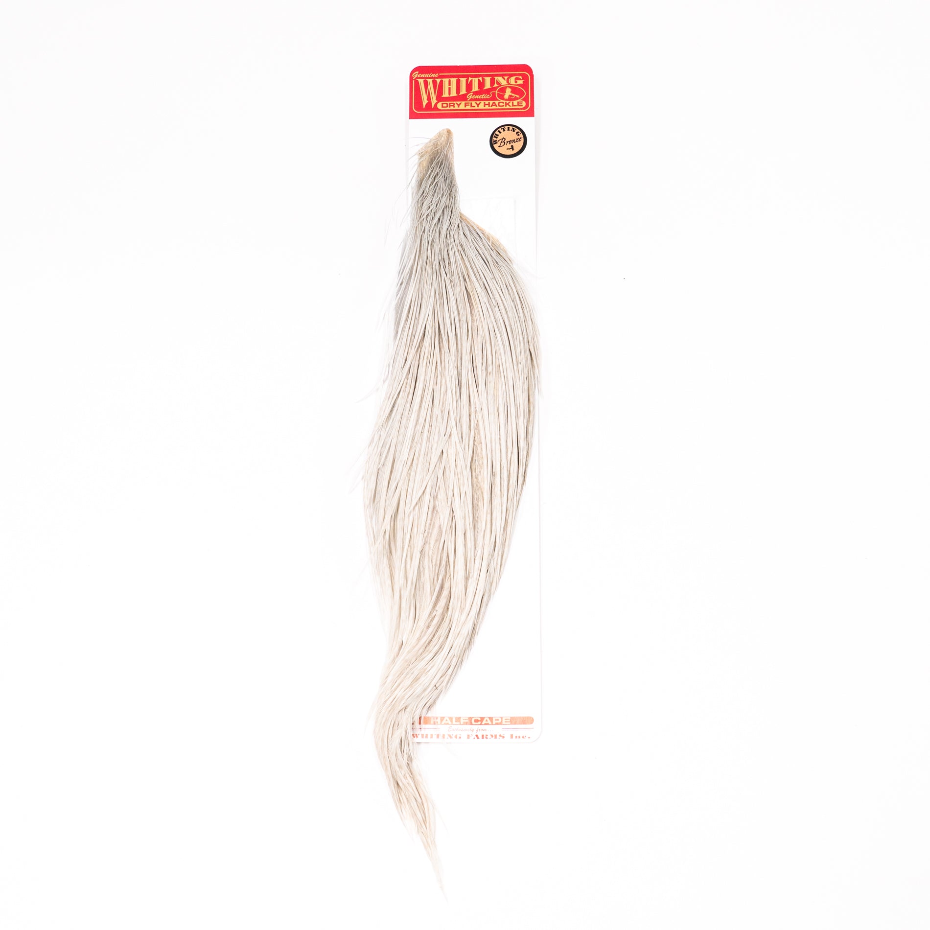 Whiting Bronze Half Cape